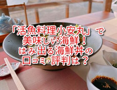 「活魚料理小安丸」で美味しい海鮮！はみ出る海鮮丼の口コミ・評判は？